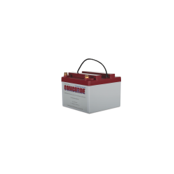 Concorde® Battery, 24V, 11.0 Ah
